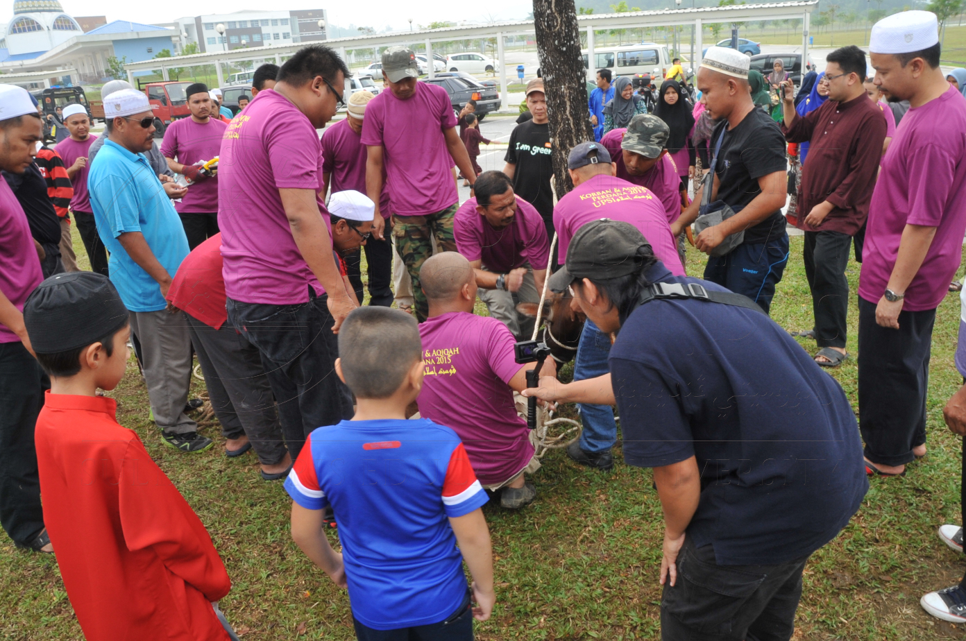 PRO15 150 KORBAN HAS 6781